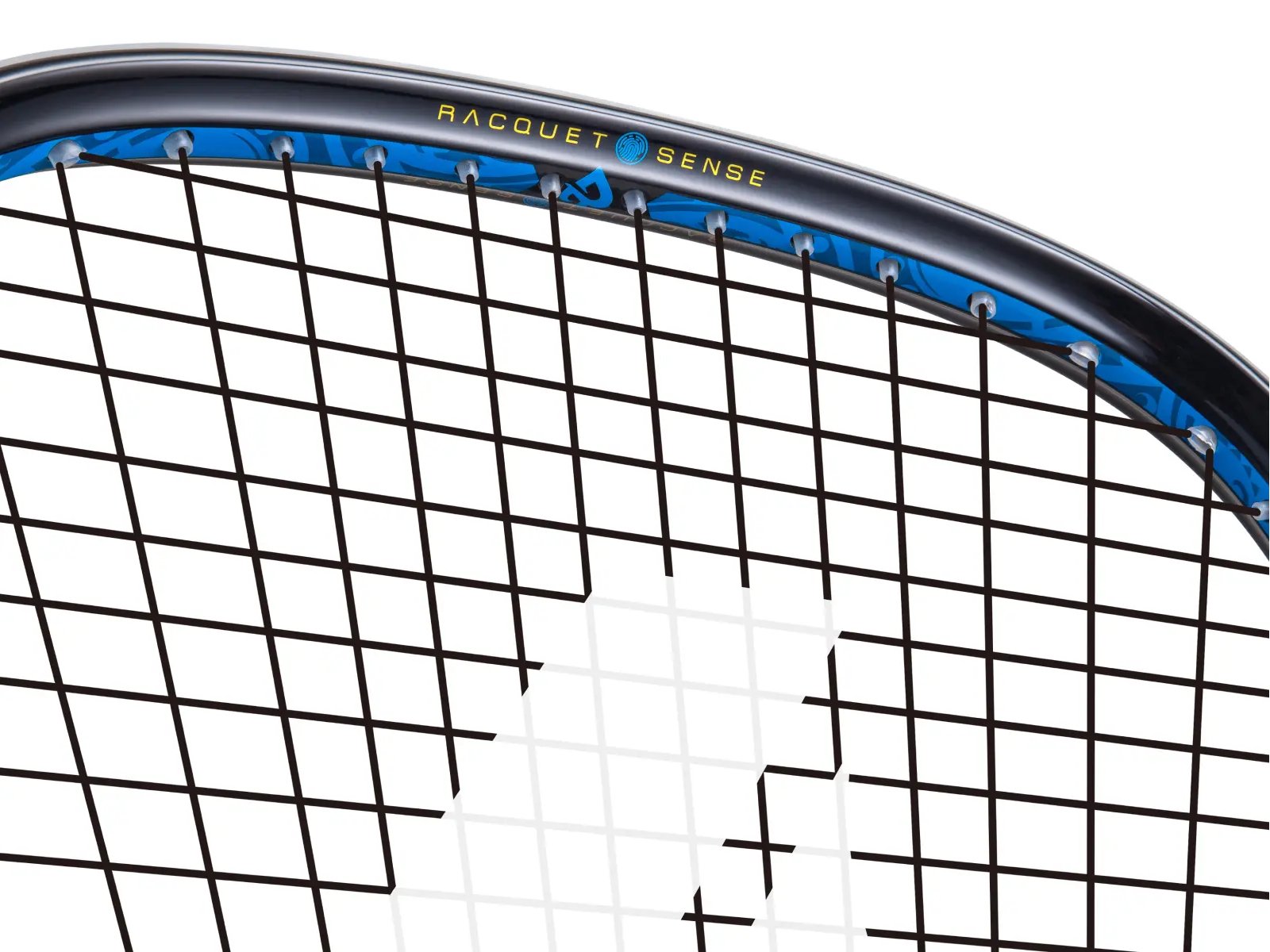 2026 Black Ace Pro 170 - Image 3